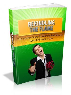 cover image of Rekindling the Flame